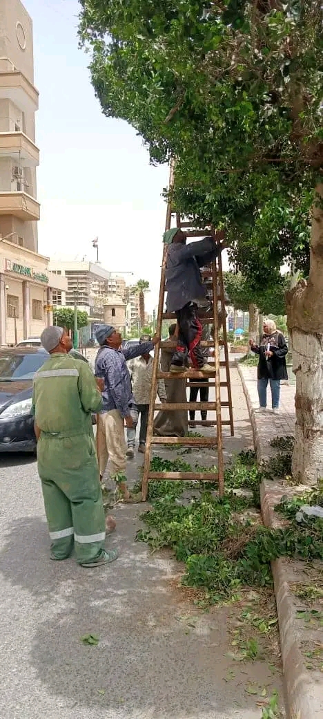 زراعة 110 أشجار مثمرة بمراكز المنيا ضمن مبادرة 100 مليون شجرة